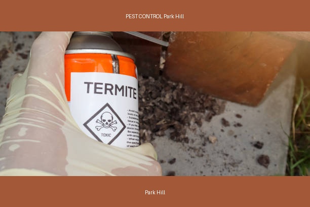 PEST CONTROL Park Hill